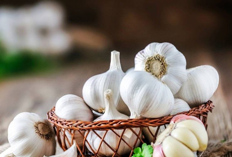 Obat Bisul Tradisional agar Cepat Pecah: Solusi Alami dan Aman di Rumah