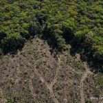 Setengah Hektar Berapa Meter: Panduan Lengkap Menghitung Luas Tanah dengan Mudah