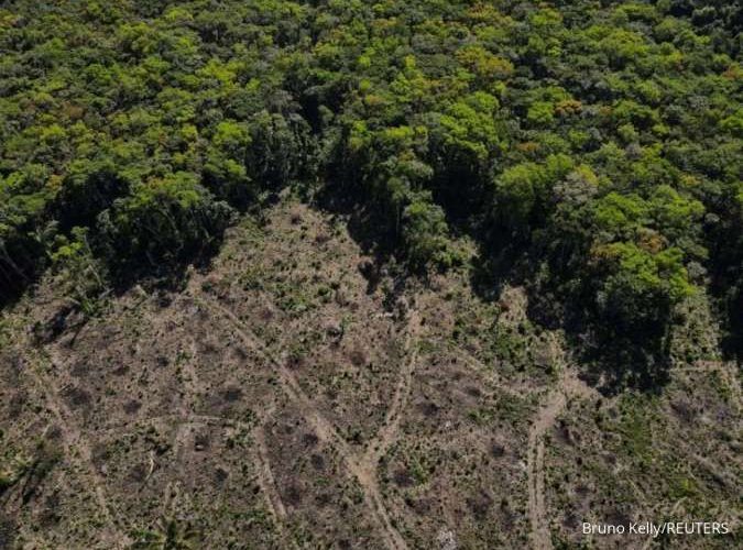 Setengah Hektar Berapa Meter: Panduan Lengkap Menghitung Luas Tanah dengan Mudah