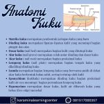 Potong Kuku Hari Selasa: Makna, Mitos, dan Penjelasan Lengkap