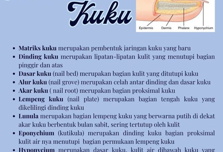 Potong Kuku Hari Selasa: Makna, Mitos, dan Penjelasan Lengkap