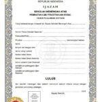 Diplomasi Lunak Adalah Strategi Pengaruh Tanpa Kekerasan dalam Hubungan Internasional