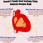 Berapa Banyak Hati yang Dimiliki Gurita: Fakta Unik dan Penjelasan Ilmiah