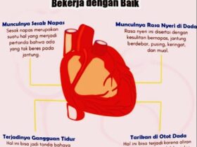 Berapa Banyak Hati yang Dimiliki Gurita: Fakta Unik dan Penjelasan Ilmiah