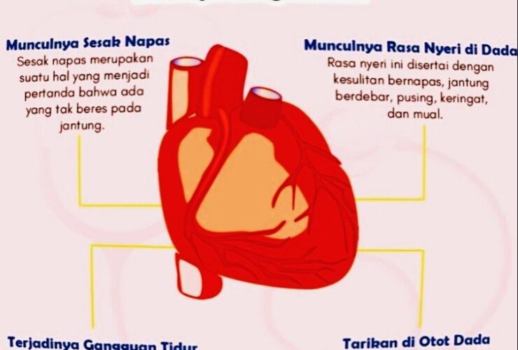 Berapa Banyak Hati yang Dimiliki Gurita: Fakta Unik dan Penjelasan Ilmiah
