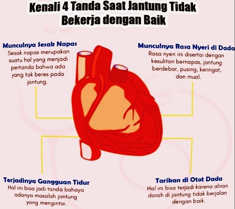 Berapa Banyak Hati yang Dimiliki Gurita: Fakta Unik dan Penjelasan Ilmiah